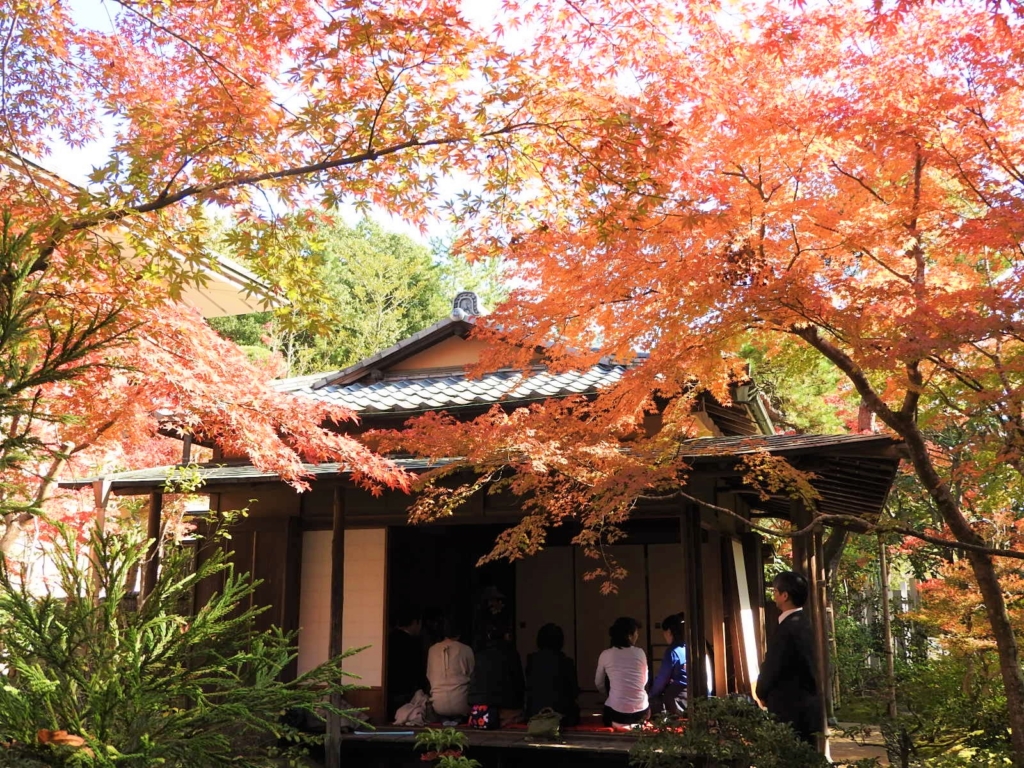 第24回成田山公園紅葉まつり
